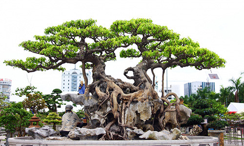 5 dieu giup ban may man gap duoc quy nhan