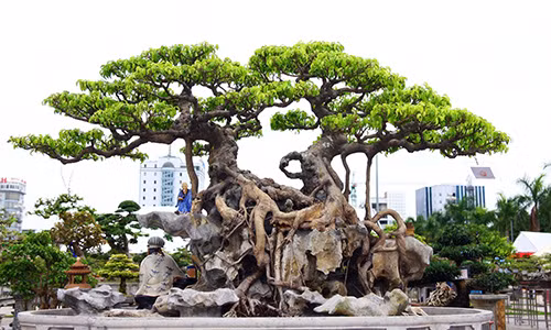 5 dieu giup ban may man gap duoc quy nhan