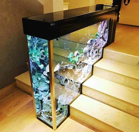 Bể cá gắn với bậc cầu thang vô cùng độc đáo và rất khả thi.