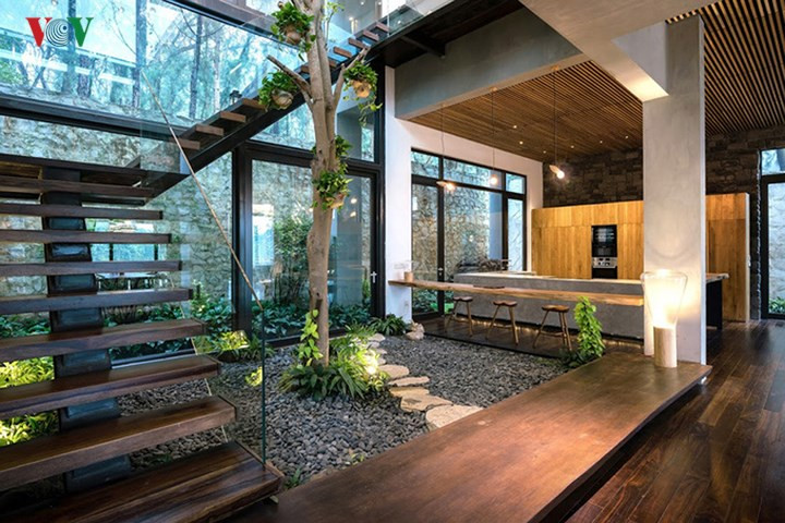 Giữa cầu thang với bếp là một giếng trời dưới là vườn trồng cây xanh.