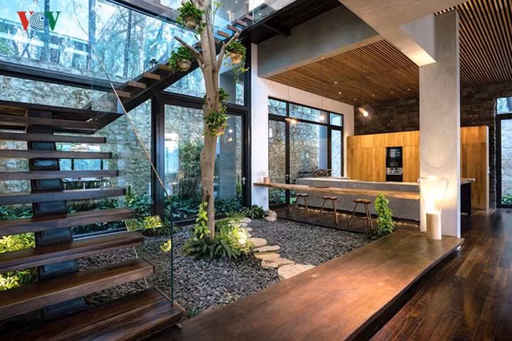 Giữa cầu thang với bếp là một giếng trời dưới là vườn trồng cây xanh.