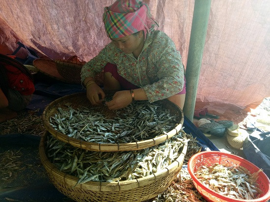 Sau khi cá được làm khô là đến khâu phân loại cá, khi bán mỗi loại cá có giá khác nhau tuy theo chất lượng từng loại.