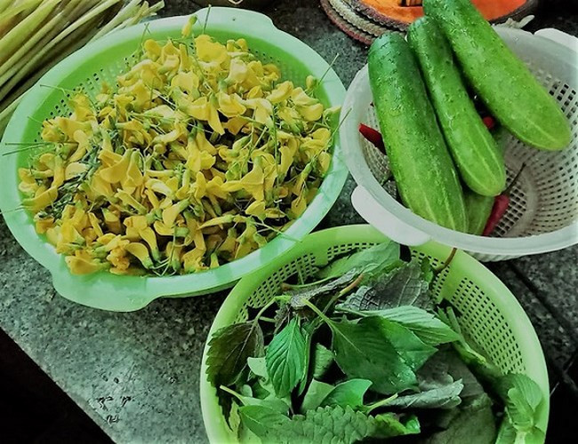 Hiện gia đình anh Trần Văn Sang đang có diện tích trồng cây điên điển khoảng 1000m2 nước. Mỗi ngày gia đình anh hái được 30kg bông, giá bán ra vào dịp cuối vụ là 25.000 đồng/kg. Ước tính vụ bông năm nay anh thu lãi về khoảng 50 triệu đồng. (Ảnh: Dân Việt)