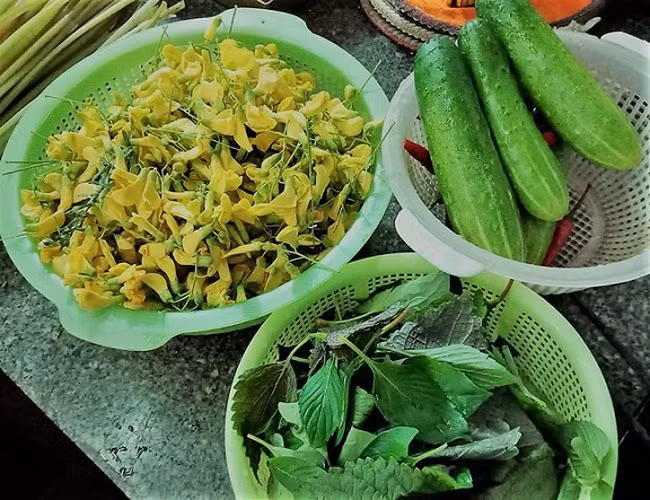 Hiện gia đình anh Trần Văn Sang đang có diện tích trồng cây điên điển khoảng 1000m2 nước. Mỗi ngày gia đình anh hái được 30kg bông, giá bán ra vào dịp cuối vụ là 25.000 đồng/kg. Ước tính vụ bông năm nay anh thu lãi về khoảng 50 triệu đồng. (Ảnh: Dân Việt)