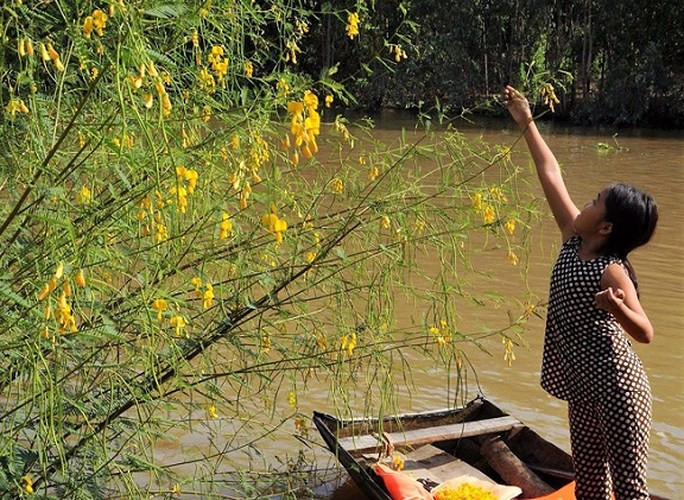 Trẻ em miền Tây tham gia công việc thu hoạch bông điên điển phụ giúp gia đình (Ảnh: Dân Việt)