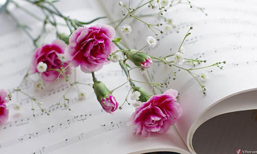 Tu vi thu 5 ngay 6/12/2018 cua 12 cung hoang dao