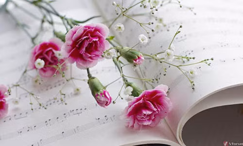 Tu vi thu 5 ngay 6/12/2018 cua 12 cung hoang dao