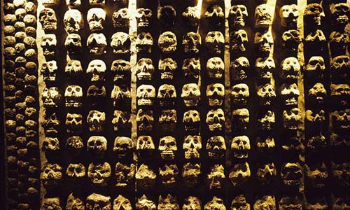 Đã có 676 chiếc sọ được tìm thấy trong cuộc khai quật và con số này được dự đoán sẽ tiếp tục tăng.