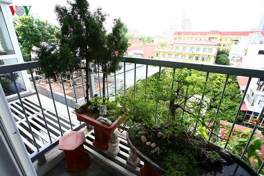 Cả diện tường lớn của không gian chung hướng ra đường cũng là mảng cửa lớn đón ánh sáng tự nhiên. Nơi đây có một ban công với khoảng xanh nho nhỏ.