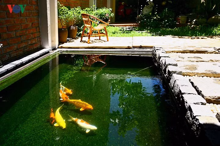 Mặt nước có thể thả sen, thả súng hay thả bèo cho sinh động. Với những nhà phố, biệt thự; mặt nước nếu có cũng nhỏ thôi, nên nhiều người thích nuôi cá cảnh; dễ khống chế và nhìn ngắm trong diện tích giới hạn của mặt nước. Nuôi cá cảnh thì không nên thả các loại cây sống trong nước vì sẽ không ngắm được cá. Cần lưu ý thiết kế chỗ tránh nắng cho cá vì mùa hè ánh nắng mặt trời chiếu xuống cá sẽ bị nóng và chói.