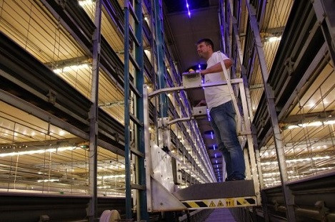 Trại gia cầm Patio này có diện tích nền là 2.400 m2 với không gian chăn nuôi gà con lên đến 5.800 m2. Gồm sáu tầng có sức chứa 150.000 con gà thịt. Ảnh: Dick van Doorn