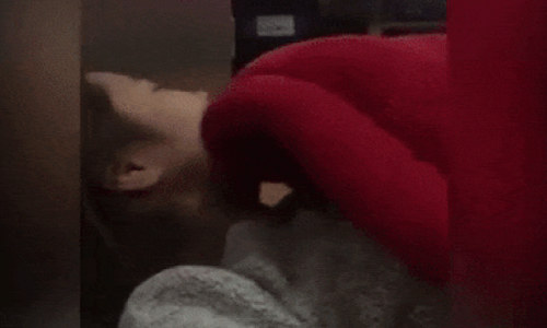 Cô gái khóc nức nở khi xem phim "Thần Chết".