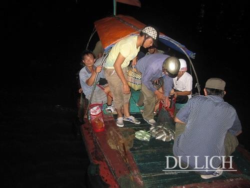 Di cau dem o Cat Ba khong vi muc dich lay ca