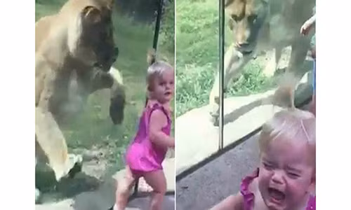 Thot tim su tu lao den vo em be trong vuon thu