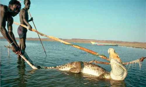 Bi an bo toc chuyen bat ca sau, ha ma... de an