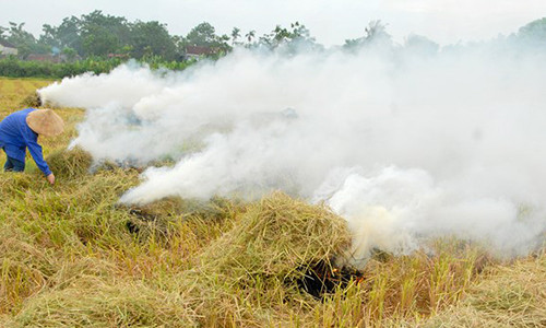 Bà con xã Bắc Thành (Yên Thành) đốt rơm rạ mù trời gây ô nhiễm. Ảnh: Hồ Các