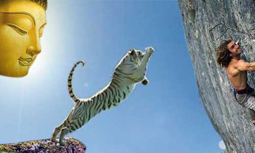 Loi Phat day: Buong bo de hanh phuc hon