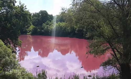 Nước hồ ở Nga chuyển sang màu đỏ như máu. Nước hồ ở Nga chuyển sang màu đỏ như máu.