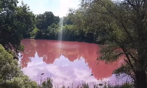 Nước hồ ở Nga chuyển sang màu đỏ như máu.
