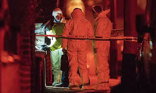 Cảnh sát lập tức vào cuộc và bắt đầu đào xới khu vườn sau nhà của bà Coombes để tìm bằng chứng.