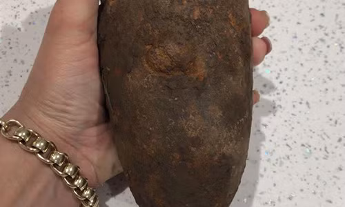 "Củ khoai" Barwell mang về thực chất là một vũ khí chết người.