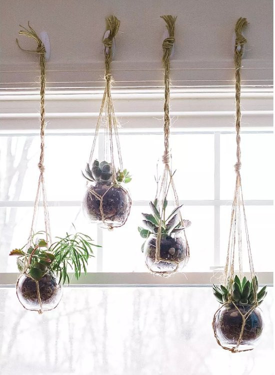 Bạn có thể đặt vài chậu cây bên bệ cửa cửa sổ. Hoặc treo lên cửa sổ một vài bình thủy sinh nhỏ.