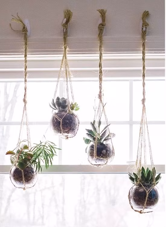 Bạn có thể đặt vài chậu cây bên bệ cửa cửa sổ. Hoặc treo lên cửa sổ một vài bình thủy sinh nhỏ.