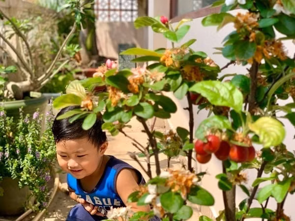 Đây còn là khu vực được cậu quý tử nhà Mỹ Lệ rất yêu thích, chọn làm nơi vui chơi mỗi ngày.