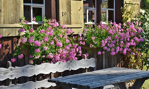 Gai xinh om han vi giu nguoi yeu bang... “trai cam“