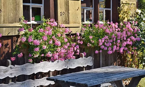 Gai xinh om han vi giu nguoi yeu bang... “trai cam“