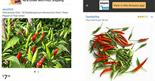 Với giá 11,75 USD/400g, tương đương khoảng 670.000 đồng/kg, ớt Việt đang được rao bán trên trang Amazon khiến nhiều người “sửng sốt”.