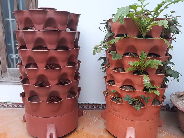 Ông Bùi Việt Đức – Giám đốc Viện phát triển công nghệ cơ điện (Học viện NNVN) cho biết: Hiện nay nhu cầu trồng rau sạch tại các hộ gia đình là rất lớn. Tuy nhiên điều kiện nhà phố khó cho người dân phát triển. Đây là một trong những mô hình rất hiệu quả, không giản nhỏ hẹp vẫn tạo ra sản phẩm đảm bảo về số lượng, chất lượng. Làm từ những vật liệu tái chế và sử dụng giá thể có sẵn. So với dùng thùng xốp hay khoảng không tận dụng như các gia đình đang làm hiện nay, tháp rau này có nhiều ưu điểm nổi bật hơn hẳn. Điều kiện và công chăm sóc cũng rất ít. Người ta có thể tranh thủ làm được. Và mô hình này ở thành phố đang được ứng dụng rất rộng rãi và hiệu quả.