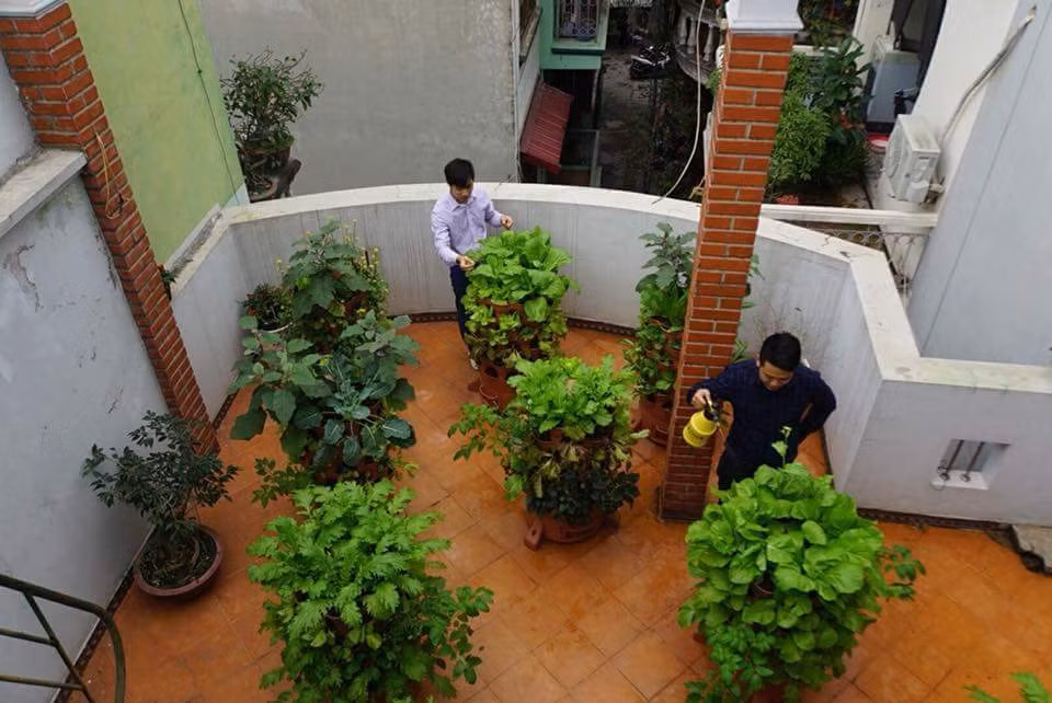 Khi sử dụng không phải thay đất, tăng diện tích lên 10 lần so với bên ngoài, và có thể quay được để tận dụng ánh sáng. Dịch trà trùn (chứa nhiều chất dinh dưỡng và vi sinh vật cố định đạm, lân, kali, ức chế nấm mốc phát triển...) chảy xuống khay chứa trà trùn dưới đế tháp, được tưới ngược lên đỉnh tháp, làm giàu dinh dưỡng cho rau phát triển tốt.