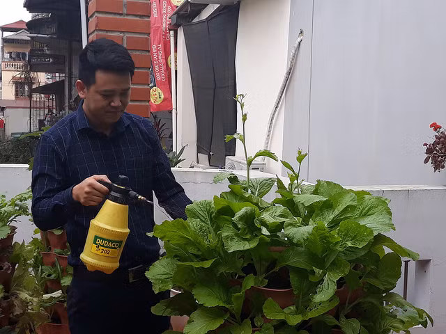 Tháp rau này sử dụng một vòng tuần hoàn của tự nhiên. Cái lõi ở giữa tháp rau giống như cơ quan tiêu hoá, sử dụng con giun đất làm nhiệm vụ biến đổi rác thải và di chuyển qua các hốc ra bên ngoài đất để cày xới đất và bổ sung phân giun trùn quế cho đất. Các khay có thể xoay để tạo thay đổi góc hướng ánh sáng, giúp cây hấp thụ được chất dinh dưỡng tốt hơn.