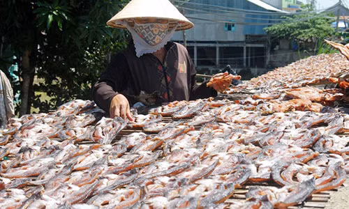 Làm khô cá lóc phục vụ thị trường tết.