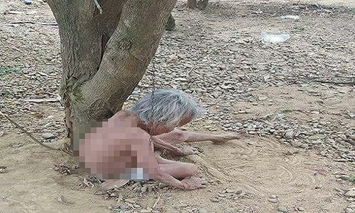Cụ bà bị trói dưới gốc cây.