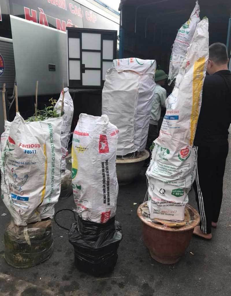 Chong danh xe tai tu Ha Noi vao Sai Gon mua hoa hong tang vo-Hinh-2