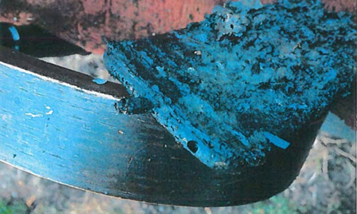 Tàn tích của chiếc iPhone 6 sau vụ cháy.