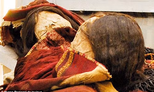 Xác ướp thiếu nữ bị đem hiến tế ở Chile cách đây 600 năm.