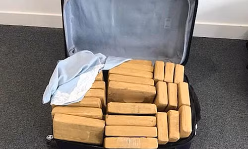 Bên trong 1 vali nhét đầy ma túy.