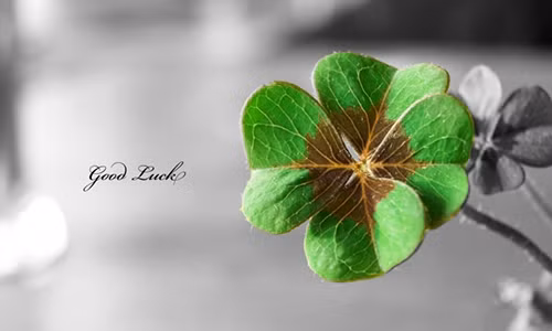 Thau suot 6 dieu nay de cuoc doi may man nhan doi