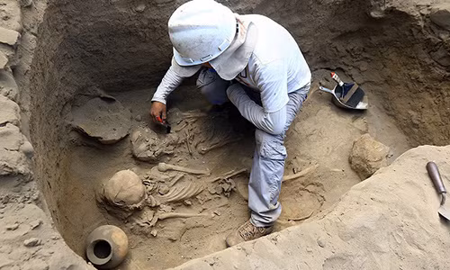 47 bộ xương đã được phát hiện tại Huanchaco (Peru). Ảnh: Peru excavation.