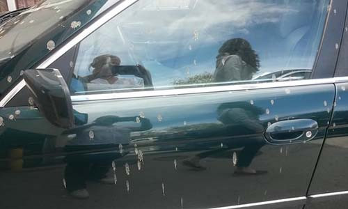 Ô tô của Allen bị "phân từ máy bay" rơi trúng.