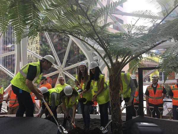 Các nhân viên và tình nguyện viên đang cùng nhau góp sức trồng và chăm sóc cây xanh trong khu rừng nhân tạo tuyệt đẹp.