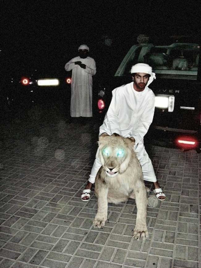 7. Đôi khi bạn có thể nhìn thấy những con vật nuôi khác thường Người giàu thường có những sở thích đặc biệt và các công dân Dubai cũng vậy. Họ đã từng nuôi báo, hổ và cả sư tử. Nhưng ngày nay, các loài động vật như vậy lại là vật nuôi bất hợp pháp tại UAE. Nước này đã thông qua một đạo luật cấm sở hữu và buôn bán động vật hoang dã và nguy hiểm.