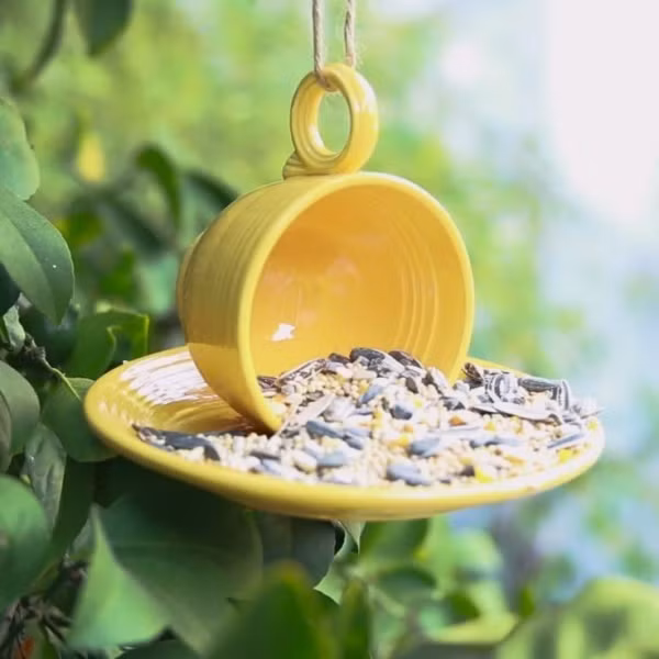 Tận dụng những chiếc đĩa, tách trà, sơn với những gam màu của nắng để tạo nên một góc đựng đồ ăn cho chim chóc trong vườn.