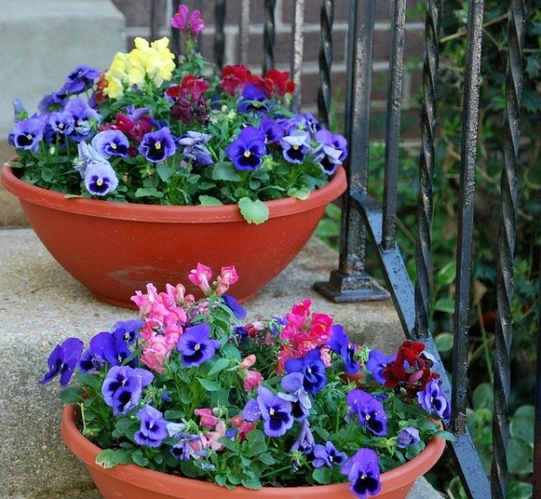 Những chiếc chậu được sơn bằng những màu sắc vô cùng bắt mắt từ việc tận dụng sơn thừa. Chậu hoa của góc hiên nhà hay ban công thêm sức sống với ý tưởng thú vị này.