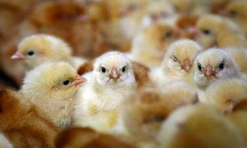 Cong viec luong 1,8 ty/nam nhung nhieu nguoi khong muon lam