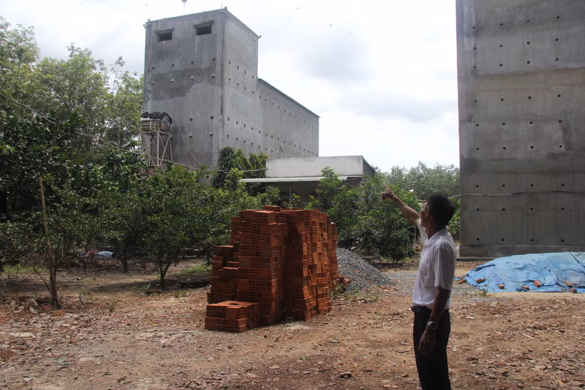 Chuyen nuoi yen: Loc troi 6 ty tu 6 con chim la sa vao nha-Hinh-2