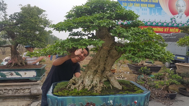 “Đây là một cây cảnh nghệ thuật vì nó sở hữu 4 yếu tố là: cổ, kì, mỹ, văn. Để có được một tác phẩm nghệ thuật này tôi đã mất rất nhiều tâm huyết và công sức mới sáng tạo ra được" anh Toản tâm sự.